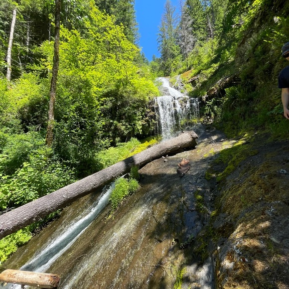 Meet your Posher, Angelina - Picture 7 of 8